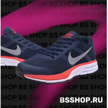 Кроссовки Nike Air Pegasus